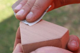 IMG-4534.jpg